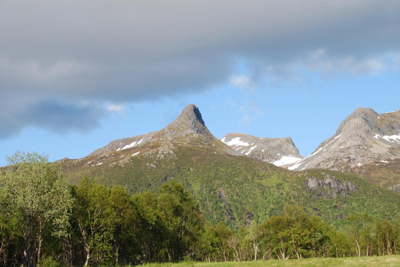 Lodge Haugteig Lyngvaeret