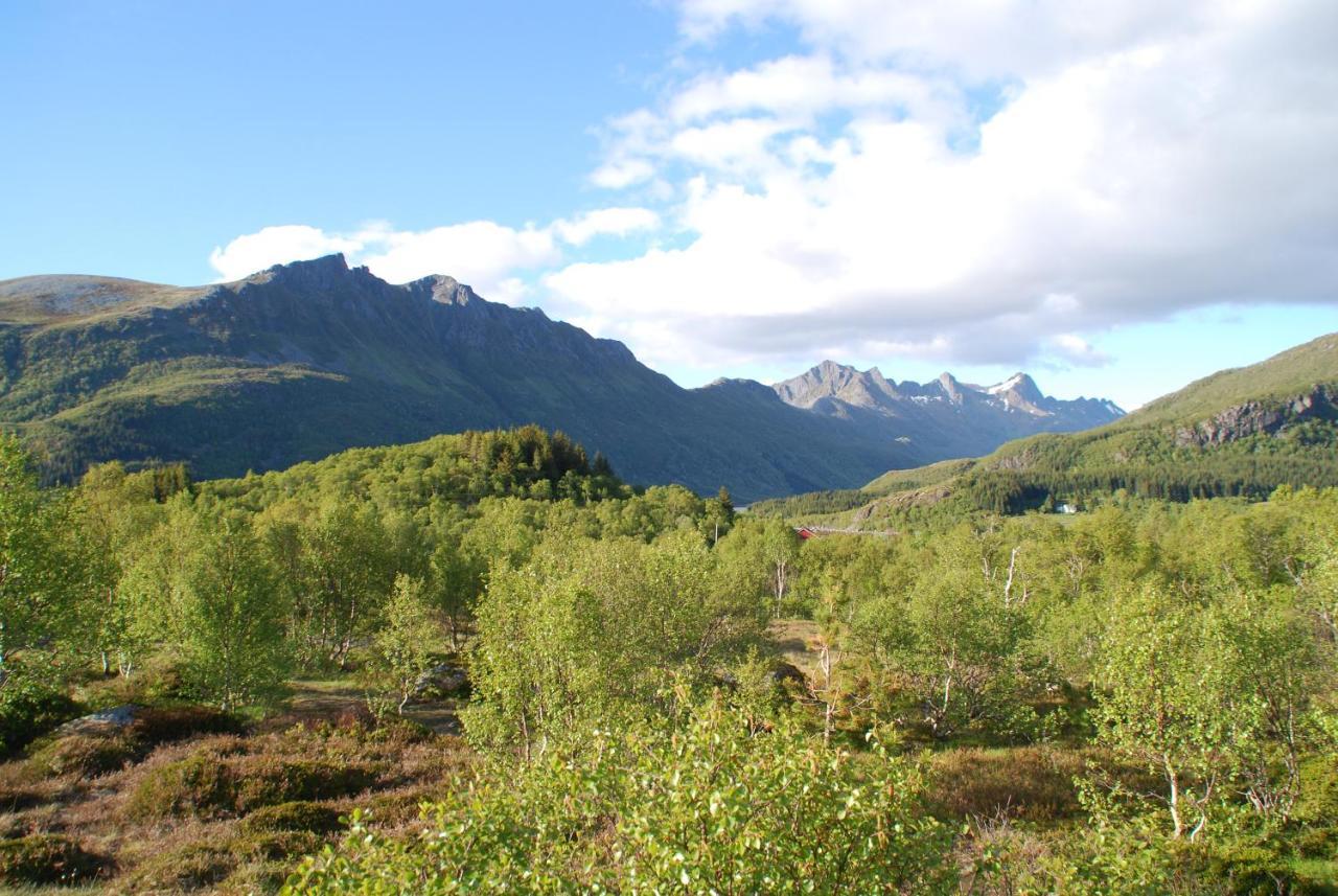 Haugteig Lodge *