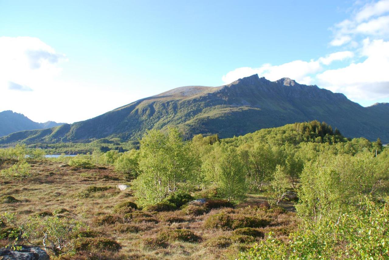 Lodge Haugteig