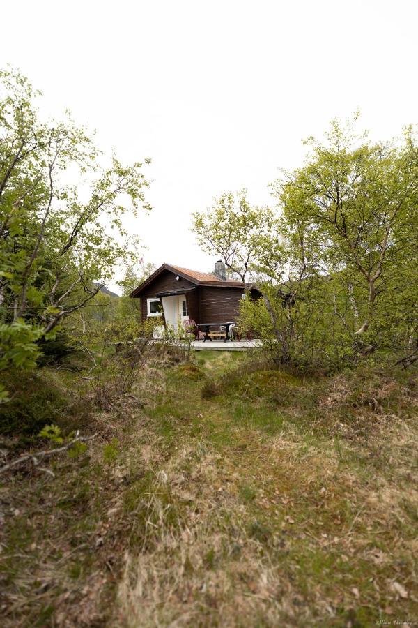 Haugteig Lodge