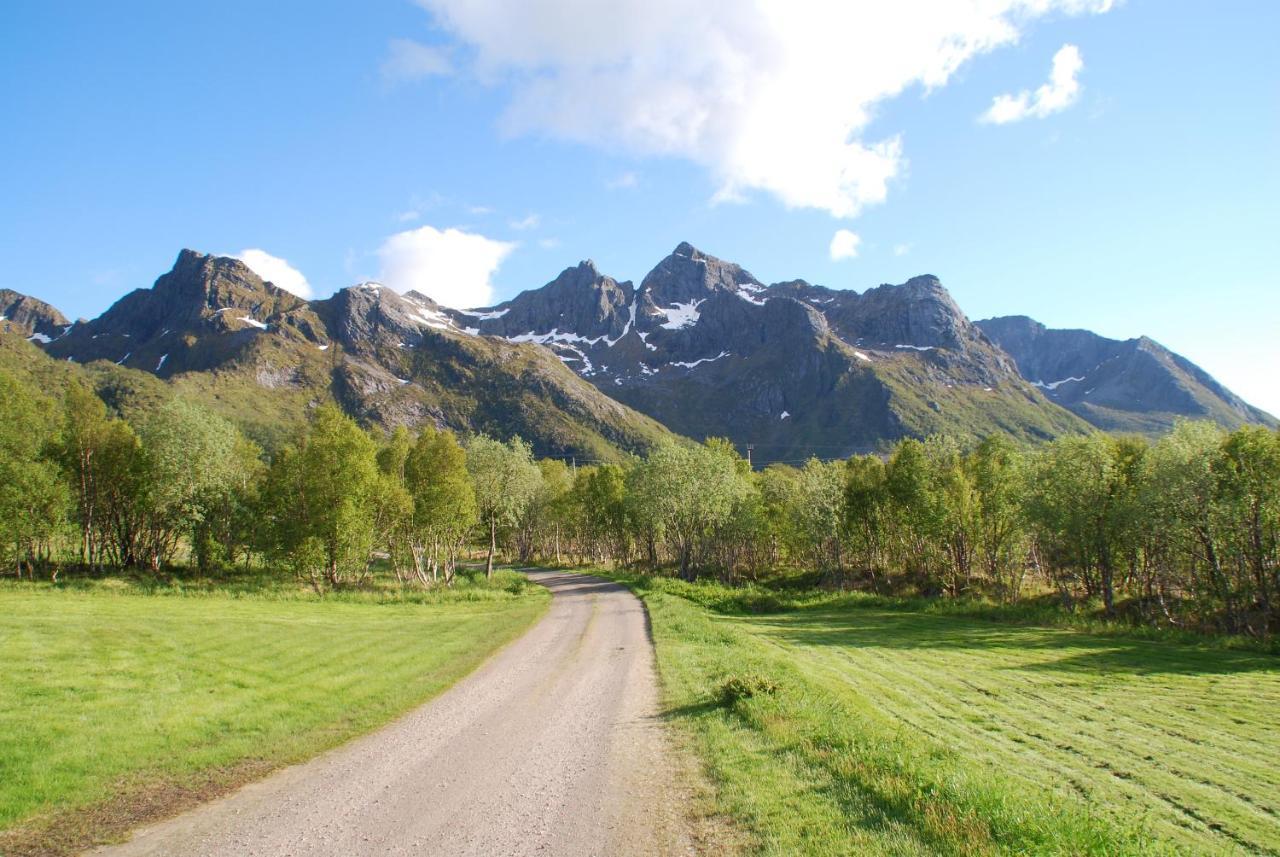 Haugteig * Lyngvaeret