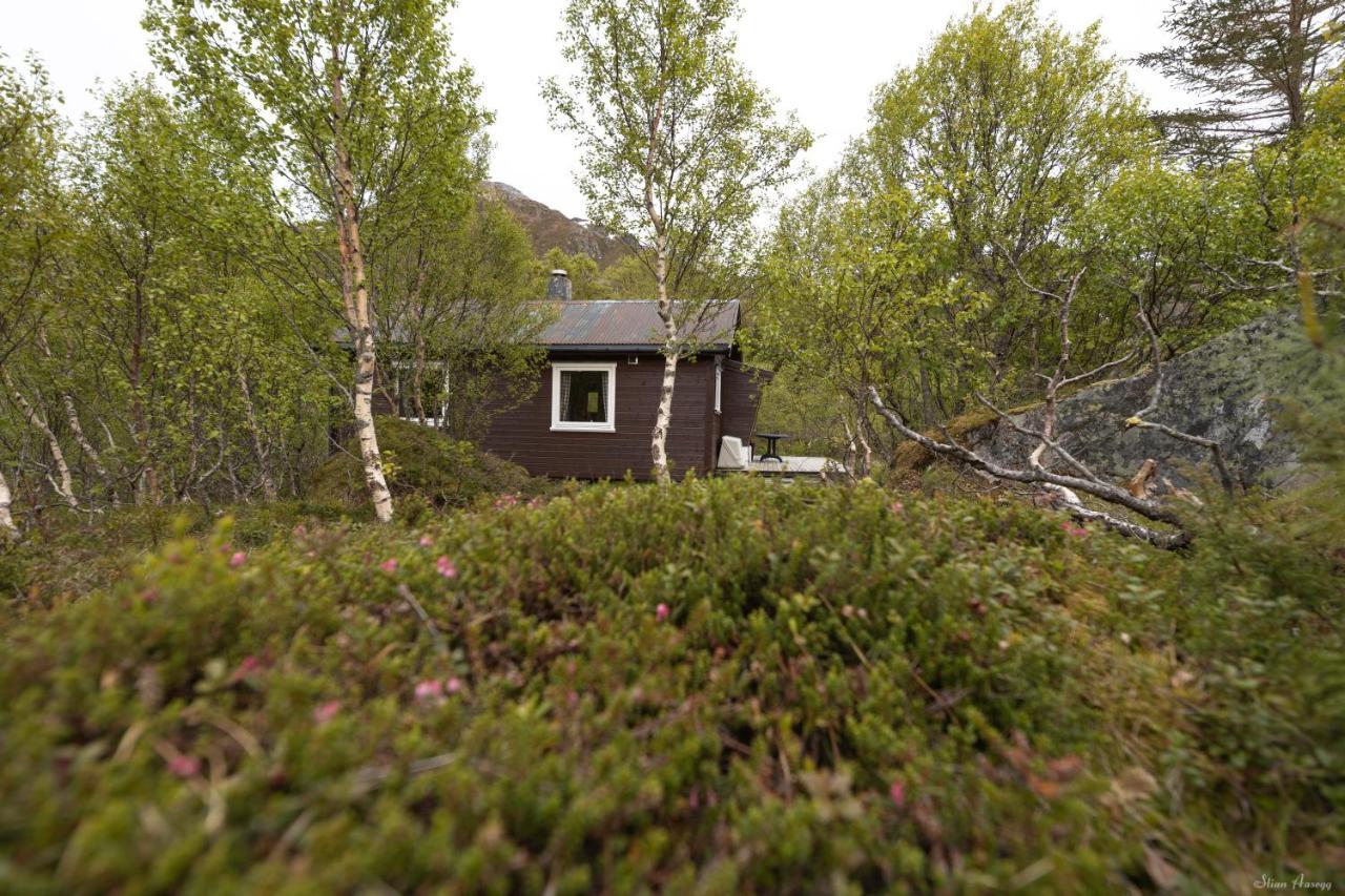 Lodge Haugteig Lyngvaeret