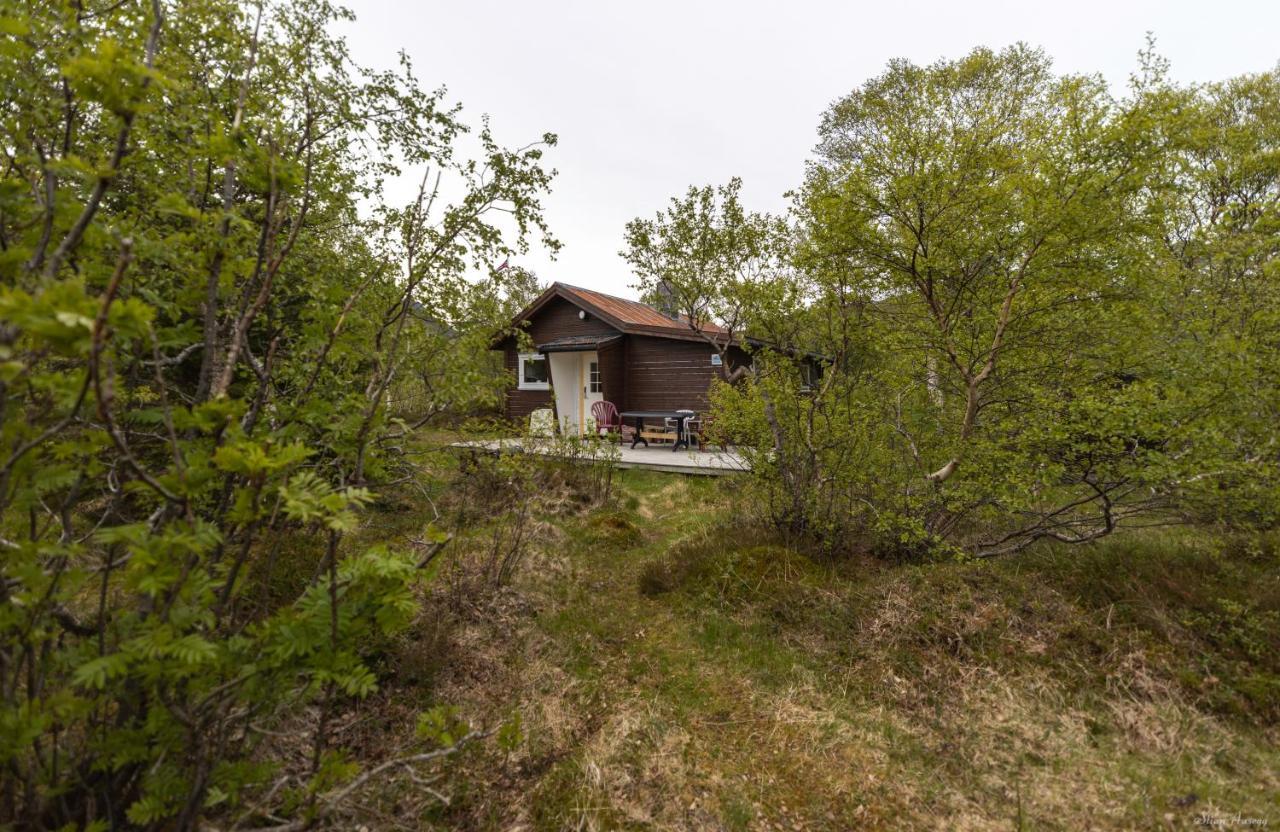 Haugteig * Lyngvaeret